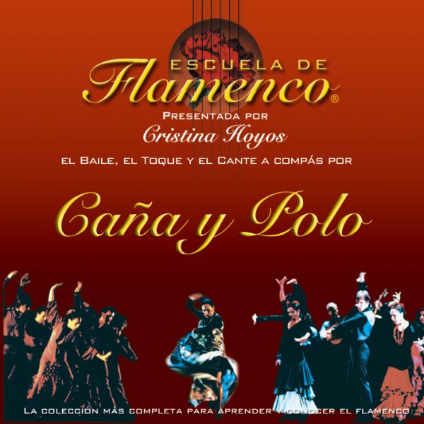 aprender a bailar flamenco en casa